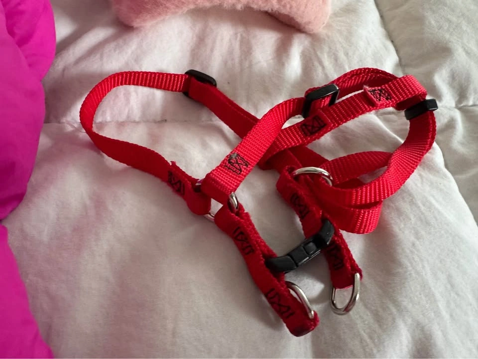 XS Girl Dog Lot, lots of Brand New items - photo 5