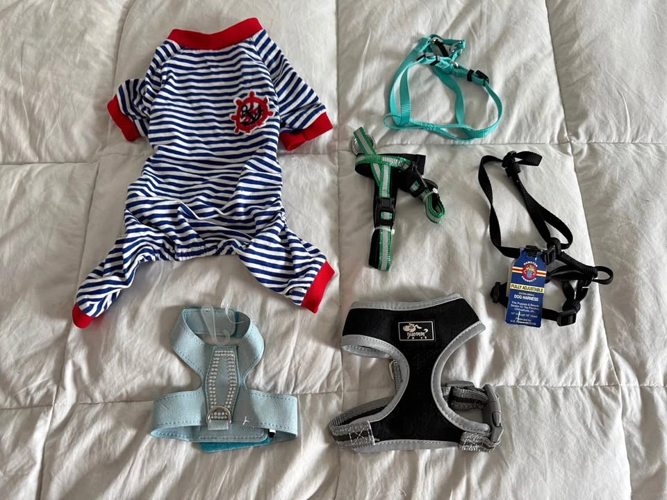 XS Dog Lot, lots of Brand New items