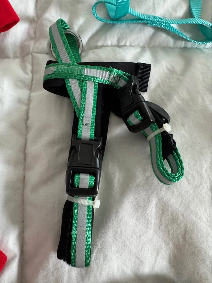 XS Dog Lot, lots of Brand New items - photo 4