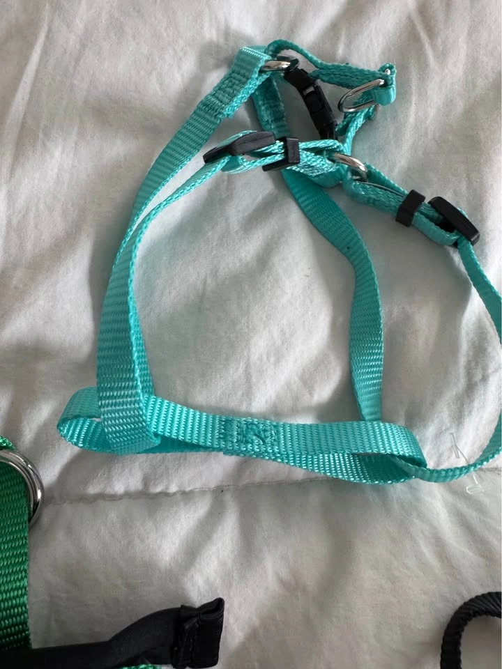 XS Dog Lot, lots of Brand New items - photo 5