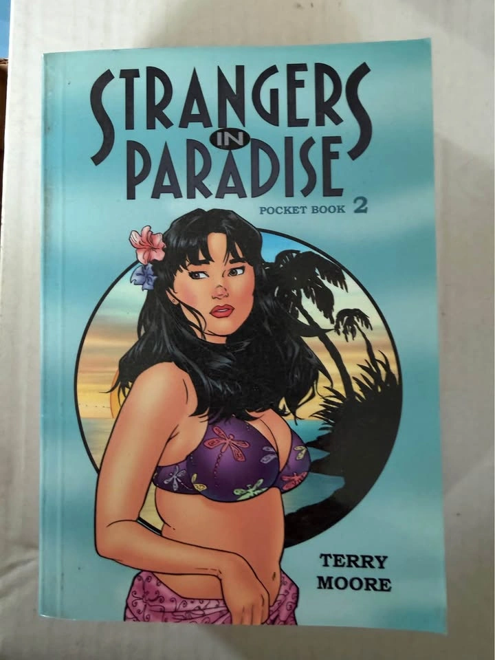 Strangers in Paradise Pocket Books 1-4 – Terry Moore - photo 2