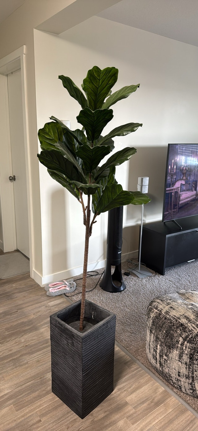 Artificial Rubber tree