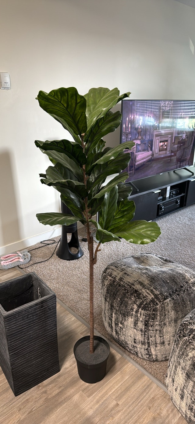 Artificial Rubber tree - photo 2