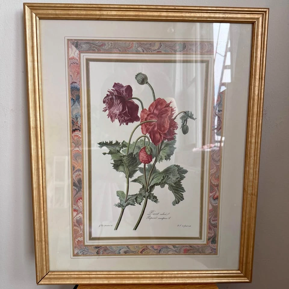 Framed Vintage French Botanical Print – Red & Purple Poppy