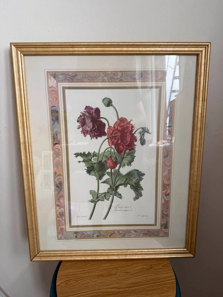 Framed Vintage French Botanical Print – Red & Purple Poppy - photo 4