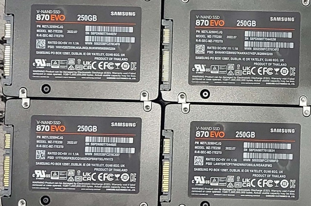 Samsung 870 EVO 250GB SSD and Western Digital 256GB NVMe SSD