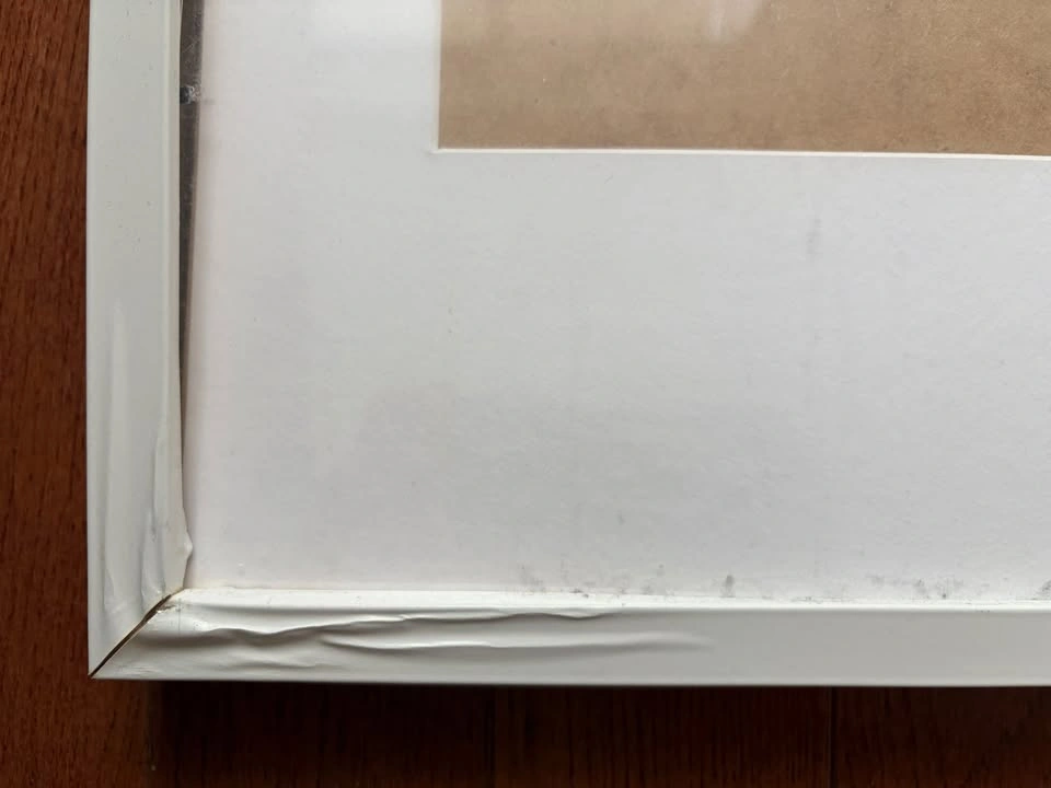 IKEA RIBBA white frame (61x91 cm) OBO - photo 2