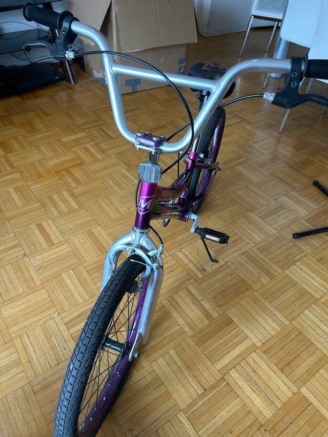 Movelo 20-inch BMX Bicycle - photo 3