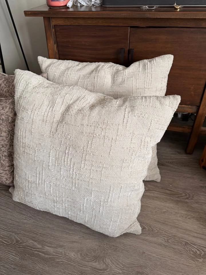 Throw Pillows - Various Sizes $5 each - photo 5