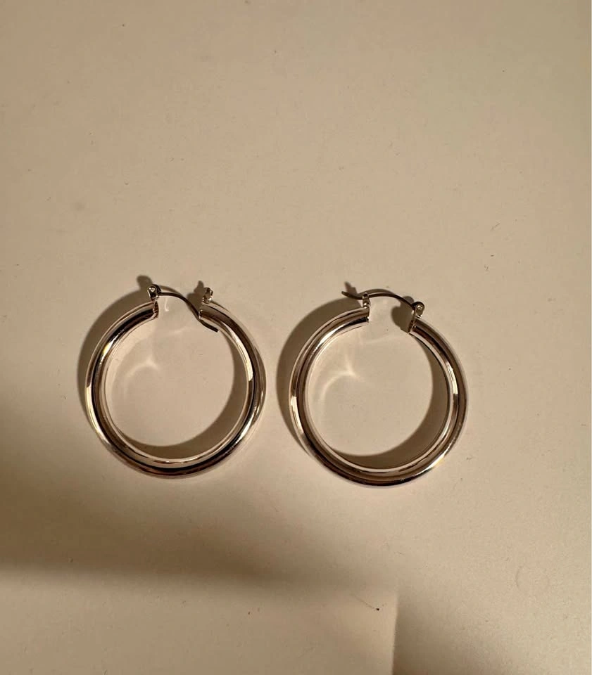 Silver Stainless Steel Hoops