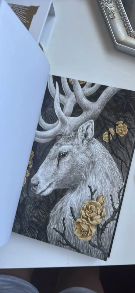 Shadow and Bone The Collectors Edition - photo 4