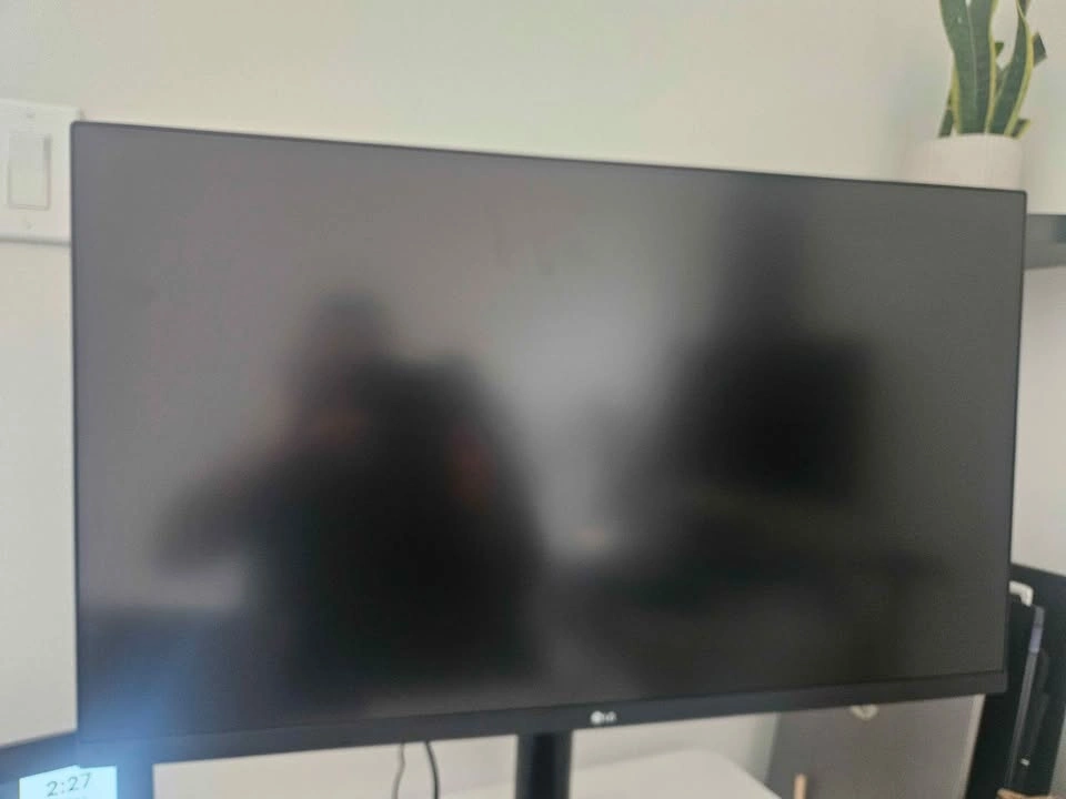 LG Computer Monitor - photo 2