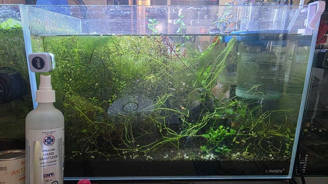 Landen 10gal rimless tank 2pc, $60ea