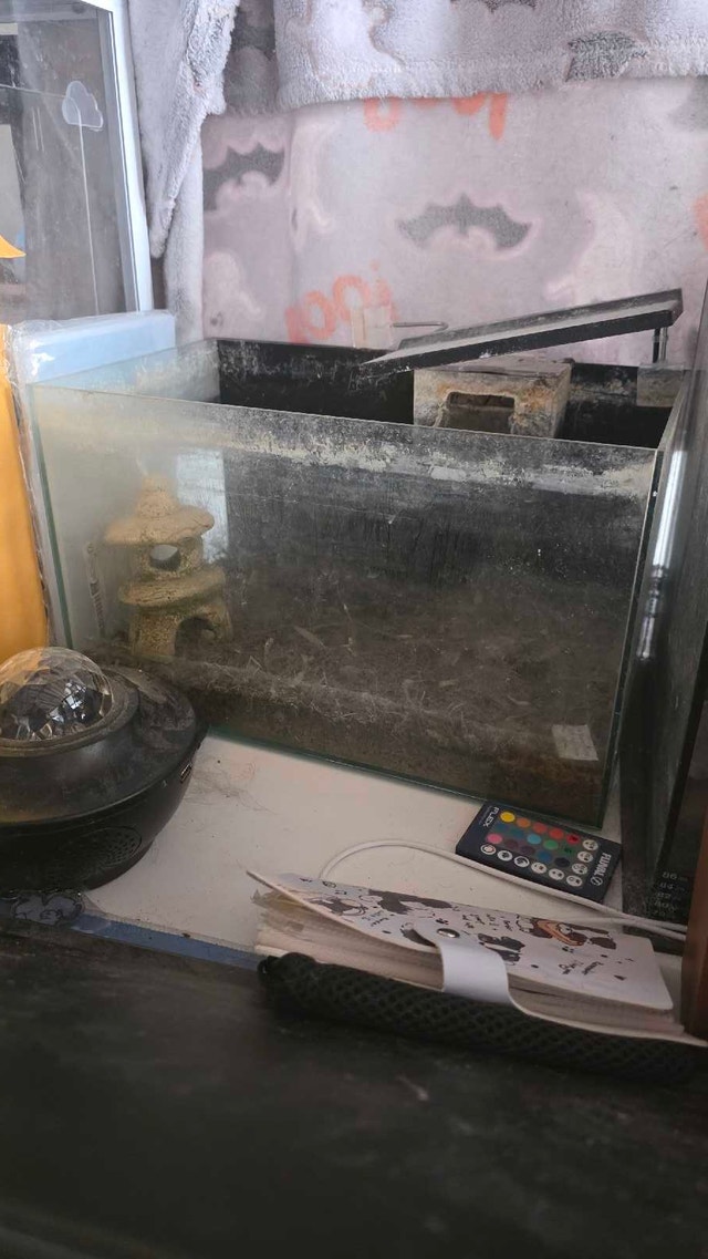 Top Fin Rimless 5 Gallon Aquarium