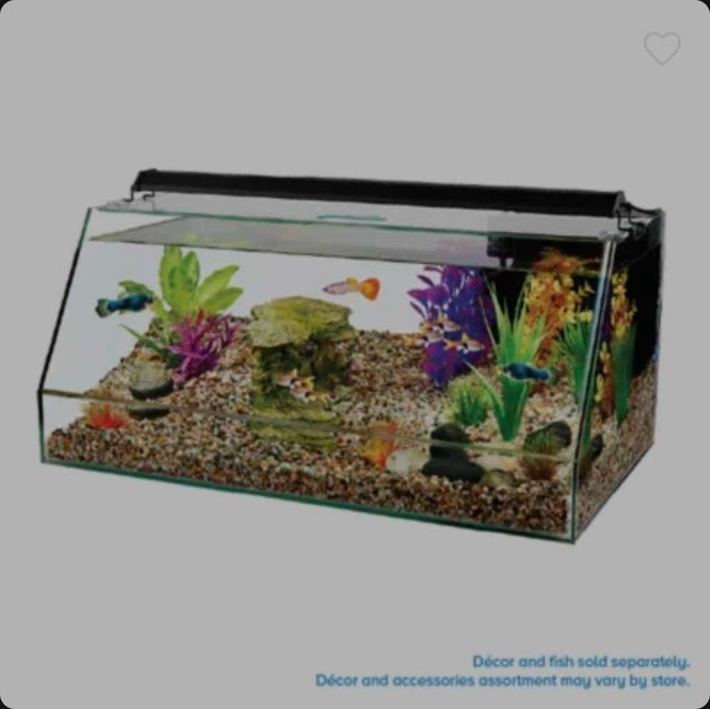 Topfin sloped rimless 10 gallon aquarium