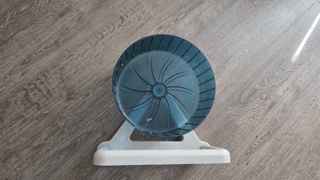 12 inch hamster wheel