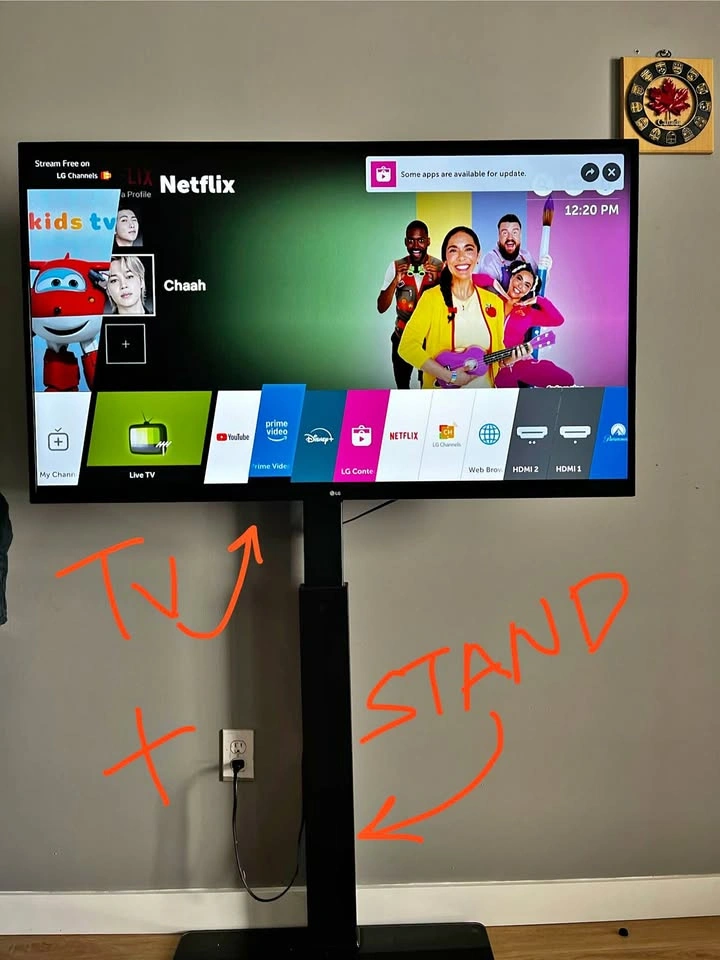 LG Smart 49 inch TV with Floor Stand
