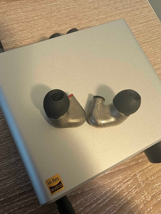 Sennheiser IE 600 - photo 2