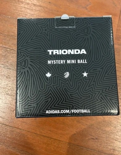 Adidas Trionda Mystery Mini Soccer Ball World Cup ‘26 - photo 2