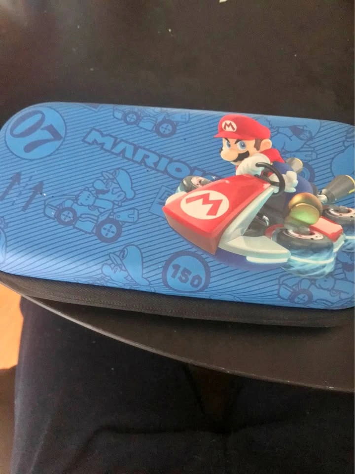Nintendo Switch Travel Case