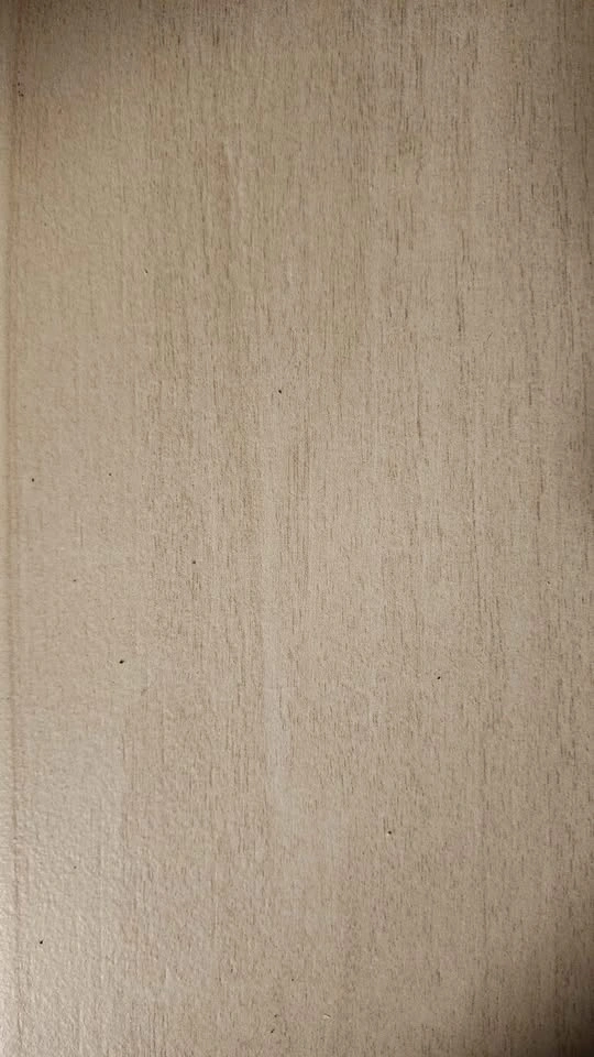 Porcelain Floor and Wall Tile (5 boxes) - photo 2