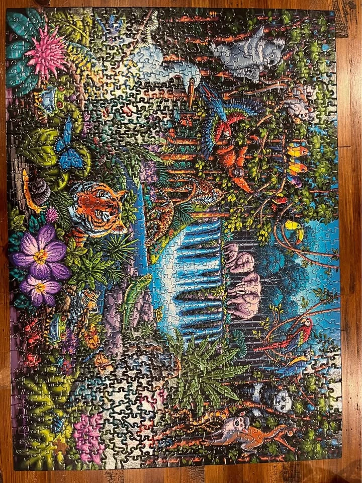 Puzzle Lot (25 total) - photo 4