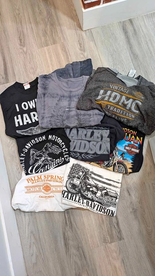 Lot of 8 Harley Davidson Tees + Hoodie