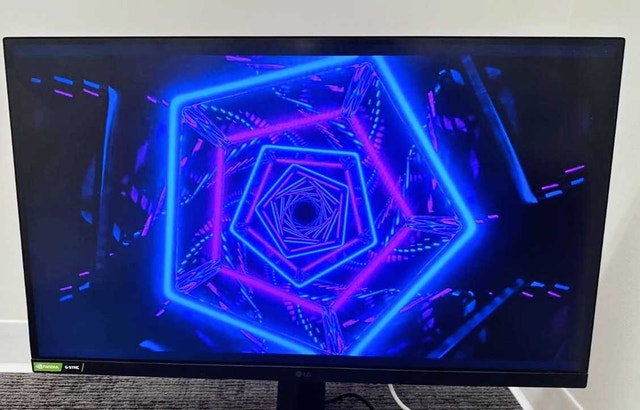 Computer Gaming screen - photo 2