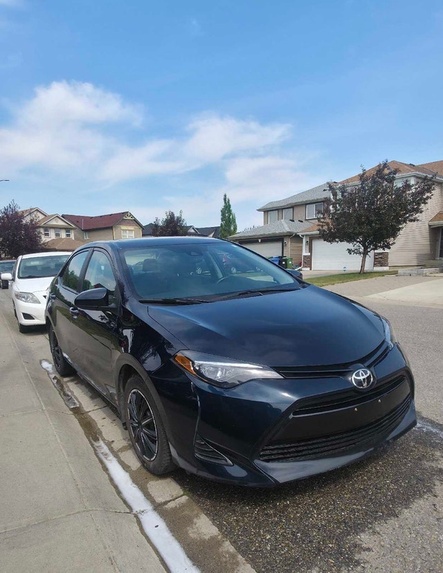 2019 Corolla XLE