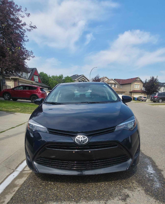 2019 Corolla XLE - photo 2