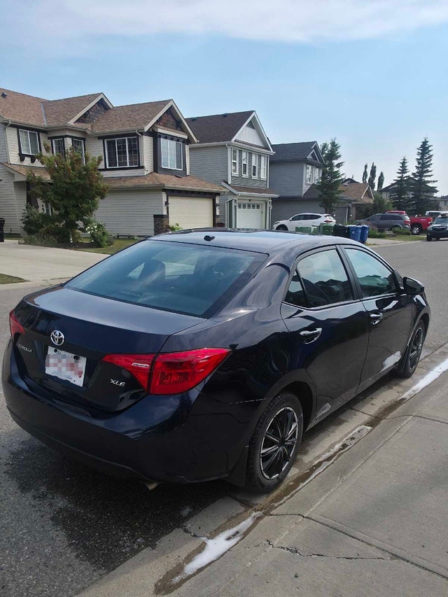 2019 Corolla XLE - photo 3