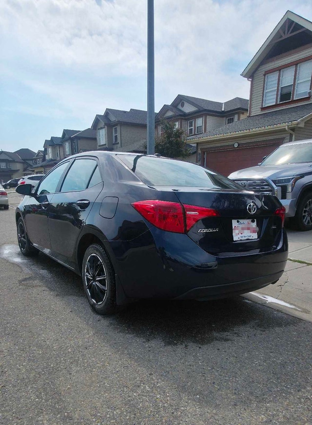 2019 Corolla XLE - photo 4