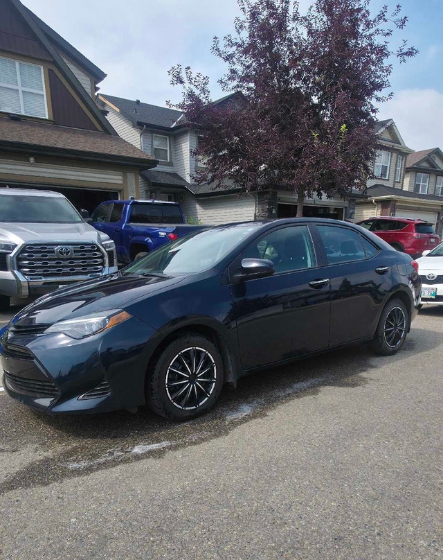 2019 Corolla XLE - photo 5