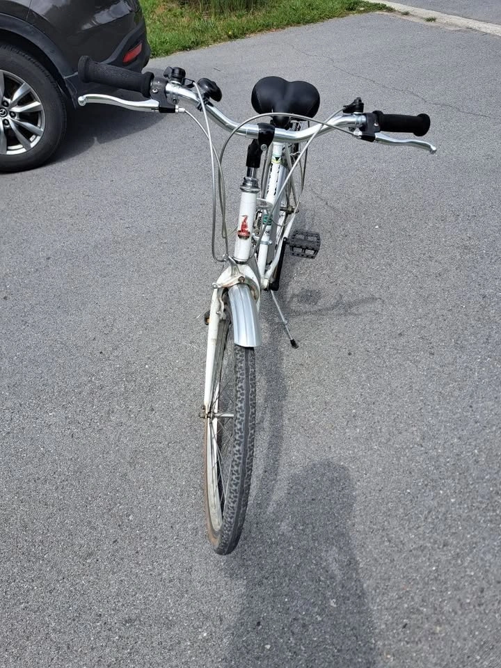 Raleigh cruiser bike 26-inch - photo 4