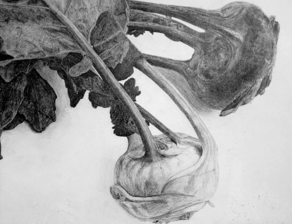 Scorpion Kholrabi Drawings - photo 2