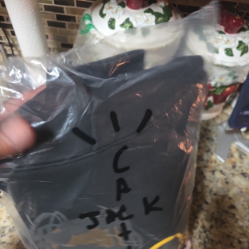 Travis Scott CACTUS PLANT FLEA MARKET Rodeo 10 Year Hoodie - photo 4
