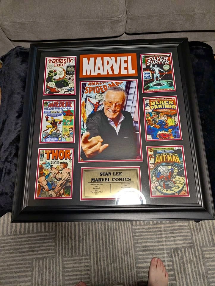 Marvel Stan Lee - Collector Frame