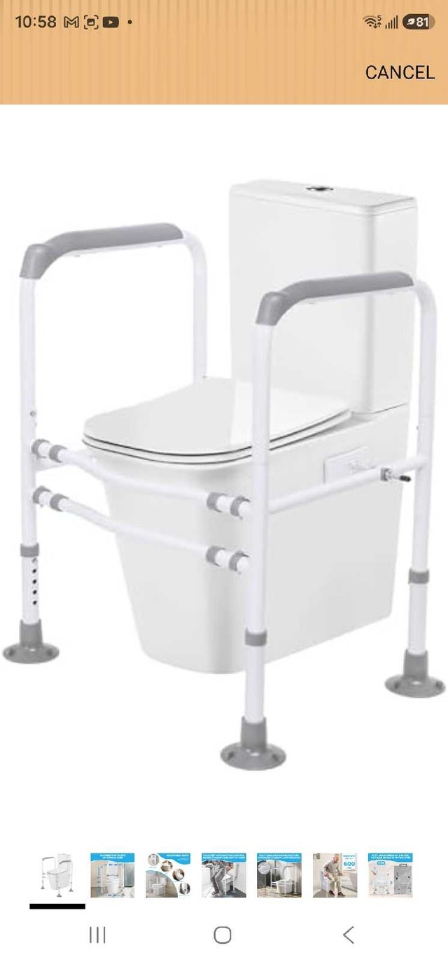 Toilet Safety Rails