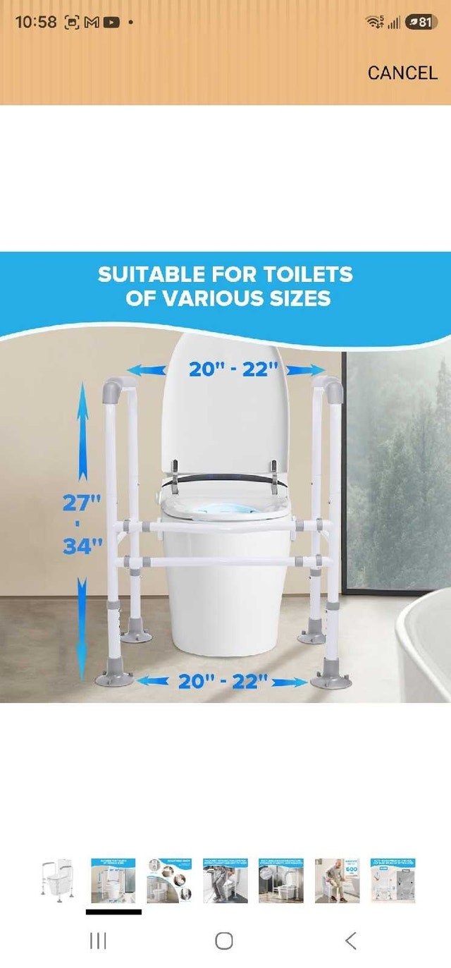 Toilet Safety Rails - photo 2