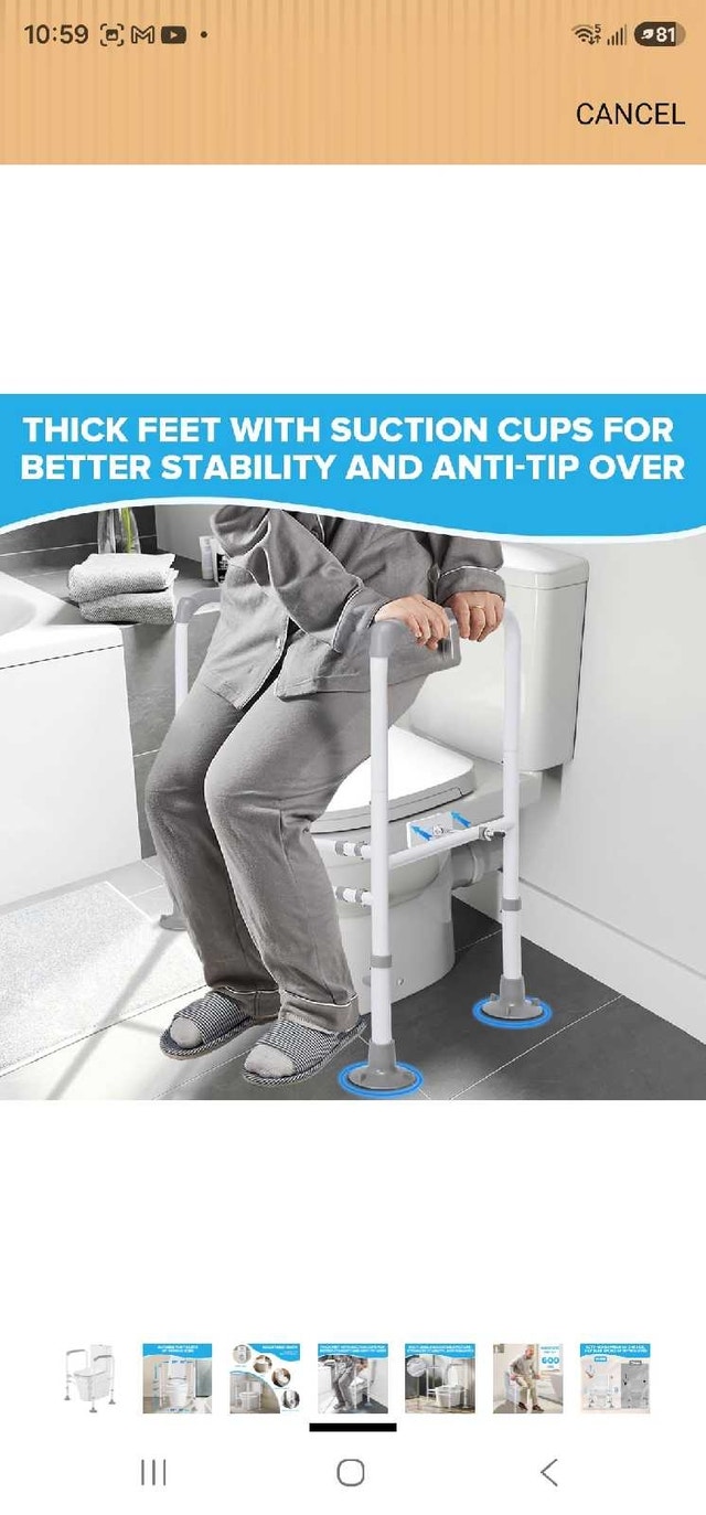 Toilet Safety Rails - photo 4