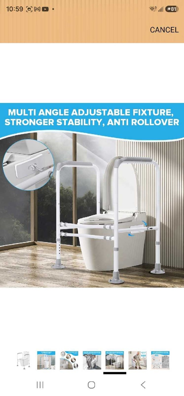 Toilet Safety Rails - photo 5