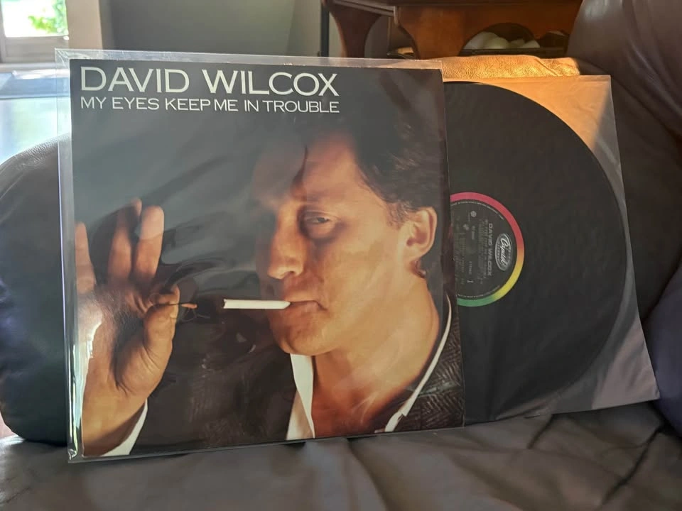 David Wilcox ‘My Eyes Keep Me In Trouble’ Vinyl LP - photo 4