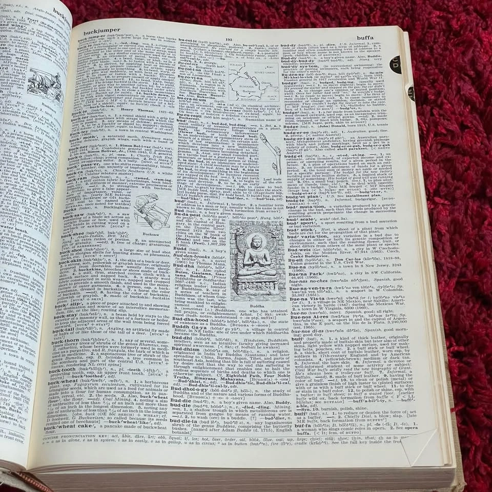 Large Vintage Dictionary - photo 4
