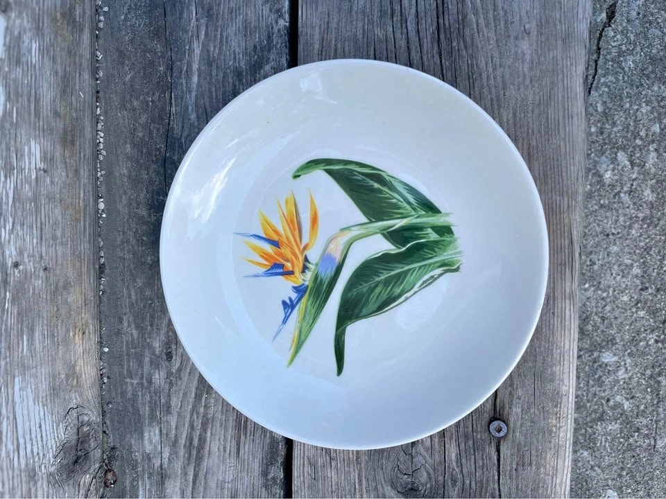 Vintage Santa Anita Ware Plates