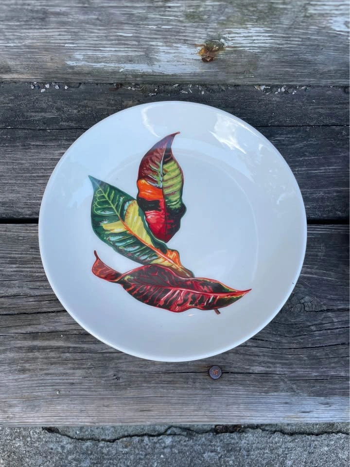 Vintage Santa Anita Ware Plates - photo 2