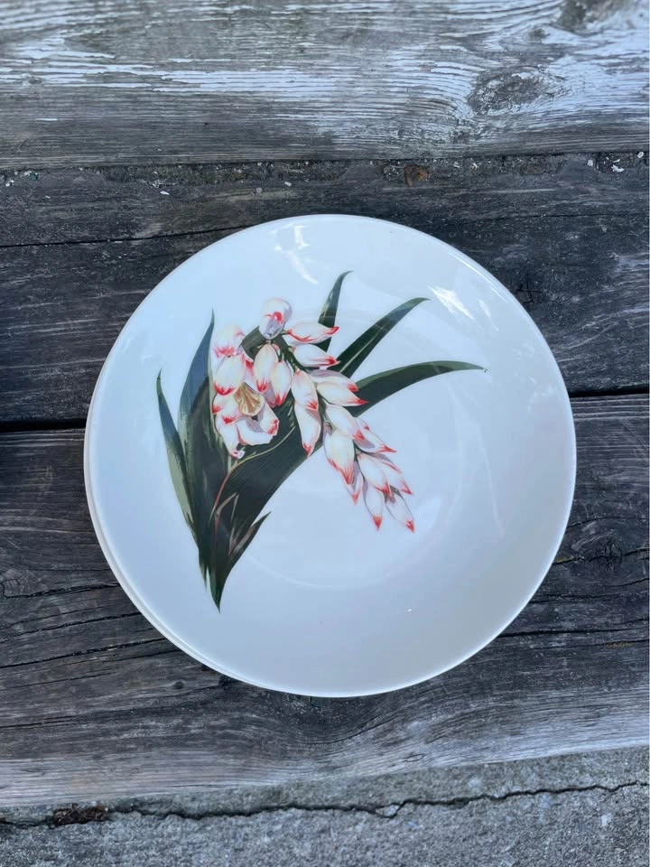 Vintage Santa Anita Ware Plates - photo 3