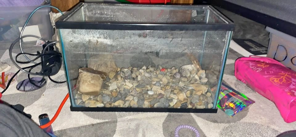 Fish tank with filter PICK UP ONLY