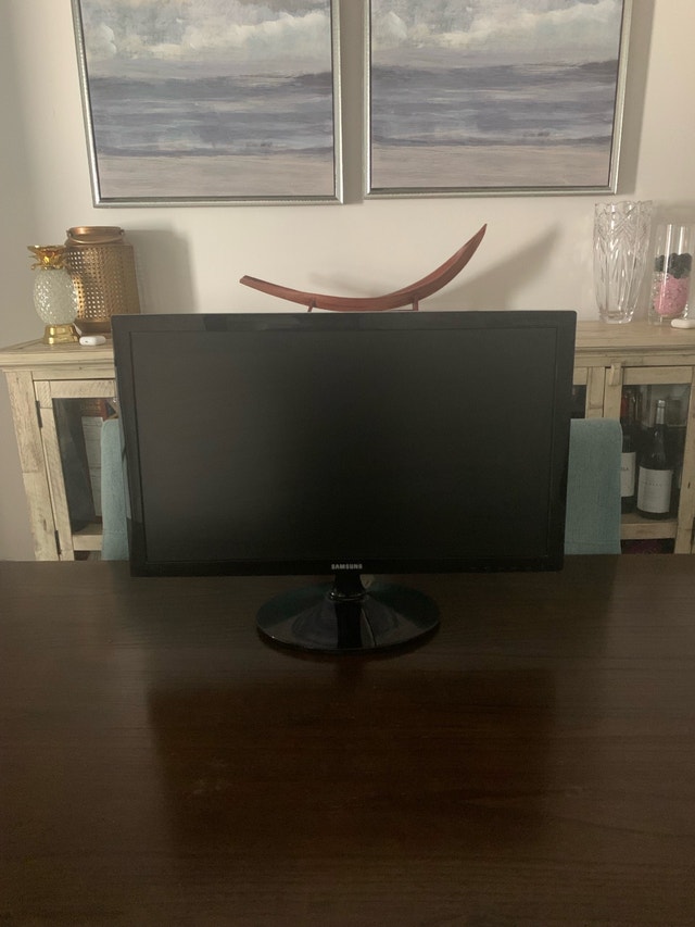 24” Samsung SyncMaster LED Monitor (1080p Full HD)