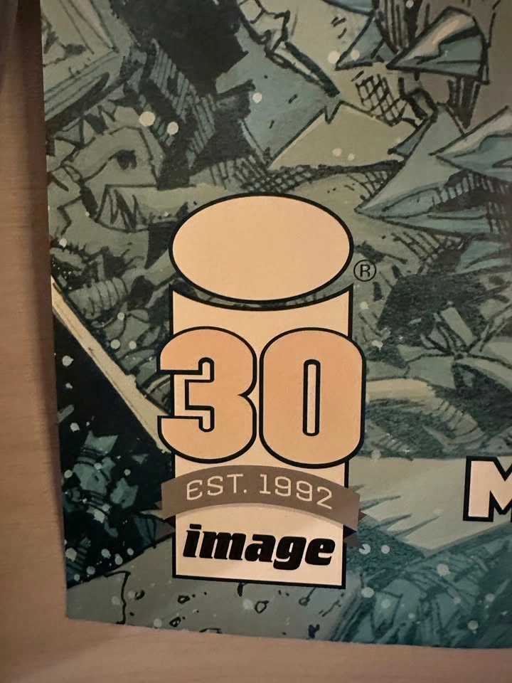 Batman / Spawn 30th Anniversary Promotional Poster - photo 2