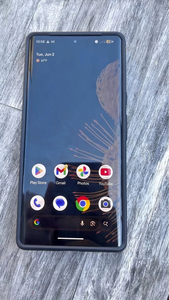 Google Pixel 6 Pro 128GB unlocked with Case